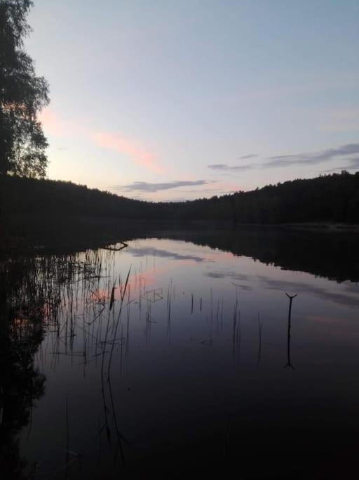 Kaminsko, Puszcza Zielonka, Dom Nad Jeziorem * Kaminsko